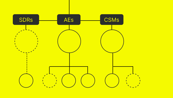 sales team structure and organization